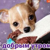 секс знакомства в г Новосибирск