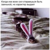 секс знакомства в г Санкт-Петербург