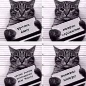 секс знакомства в г Самара